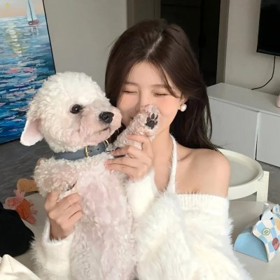 完美伴侣2025